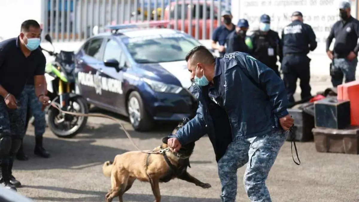 unidad canina